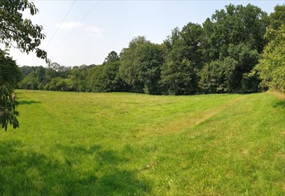 działka na sprzedaż 4457m2 działka Mazańcowice, Mazańcowice