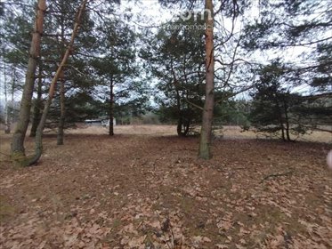 działka na sprzedaż 10203m2 działka Sulejówek