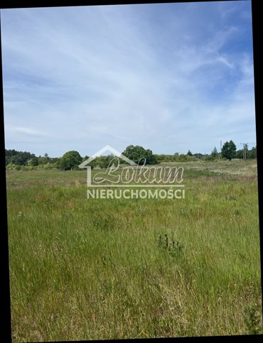 działka na sprzedaż 4800m2 działka Wieńkowo