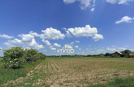 działka na sprzedaż 4980m2 działka Dobra