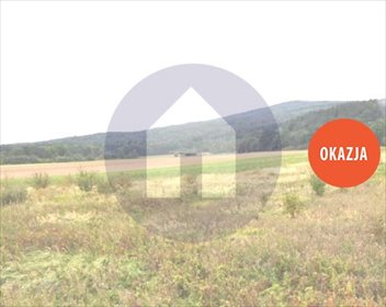 Działka budowlana na sprzedaż Strzegomiany 1 000m2 Foto 1