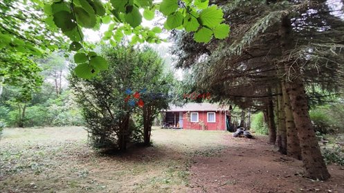 Działka 1744 m² z domem 50 m² (do remontu) w lesie działka Bronisławów