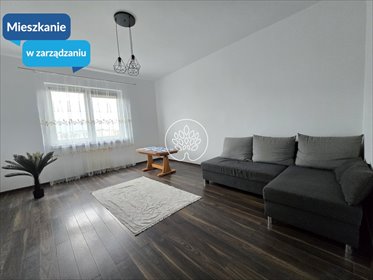 mieszkanie na wynajem 52m2 mieszkanie Solec Kujawski