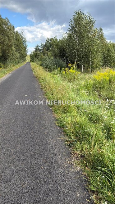 Sprzedam działkę 17 000 m² z planem zagospodarowania Radziejowice działka Radziejowice