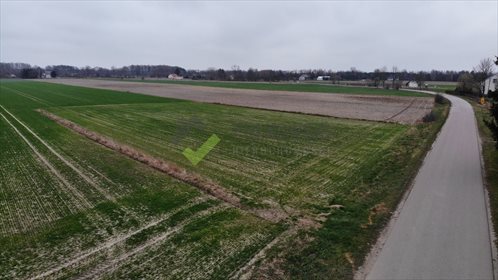Działka rolna na sprzedaż Strzeszewo 3 000m2 Foto 4