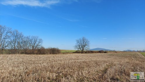 Działka budowlana z widokiem na góry w Wilkowie - polecam! działka Wilków