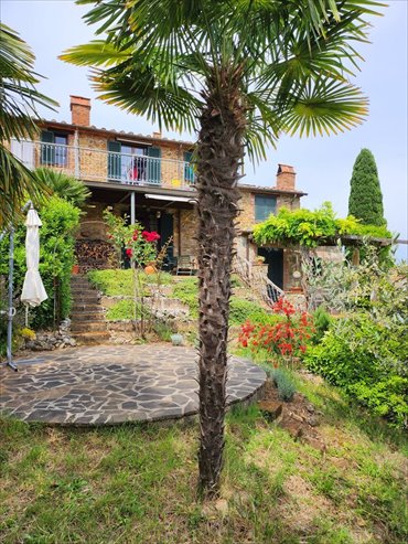 Urokliwy dom toskański z ogrodem oliwnym i panoramicznym widokiem dom Toscania, Gavoranno, Pozzoli