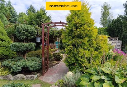 działka na sprzedaż 495m2 działka Sokolniki-Las, Graniczna