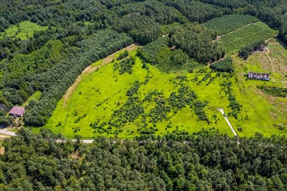 Działka inna na sprzedaż Smolarzyny 44 800m2 Foto 7