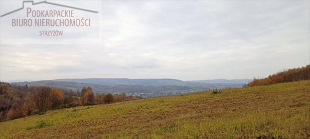 Działka budowlana na sprzedaż Żarnowa 9 900m2 Foto 4