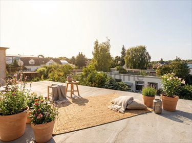 Na sprzedaż przestronny dom 268 m² z tarasem i ogrodem dom Świebodzin