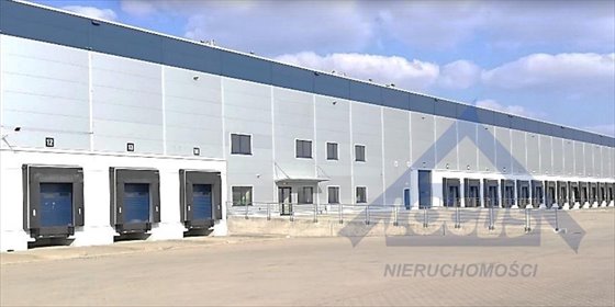 Nowoczesny lokal magazynowo-biurowy 175 m2 w Ożarowie zapraszam lokal użytkowy Ożarów Mazowiecki