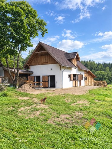 Wynajem domu z stajnią i dostępem do jeziora (450 m²) dom Jakubowo