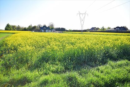 działka na sprzedaż 1146m2 działka Radawiec Mały