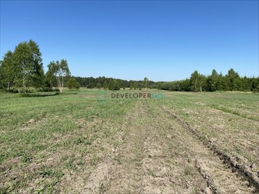 działka na sprzedaż 44310m2 działka Eliaszuki