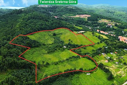 Atrakcyjna działka inwestycyjna 92 ha w Srebrnej Górze działka Srebrna Góra, Nowe Miasto