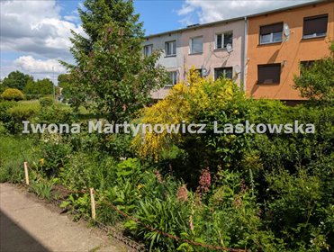 mieszkanie na sprzedaż 60m2 mieszkanie Wińsko