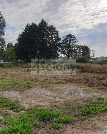 działka na sprzedaż 1000m2 działka Stara Wieś