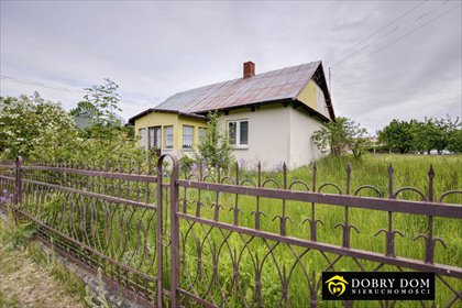 dom na sprzedaż 50m2 dom Kojły