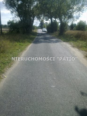 Działka budowlana na sprzedaż Czarne Piątkowo 19 500m2 Foto 4