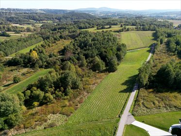 Do sprzedania działka 54 arów w spokojnych Ołpinach działka Ołpiny