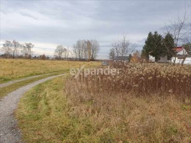 działka na sprzedaż 1850m2 działka Borek Szlachecki