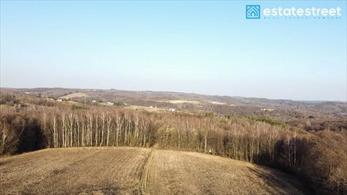 Działki rolno-leśne od 400 zł/ar z dojazdem polnym działka Kosztowa