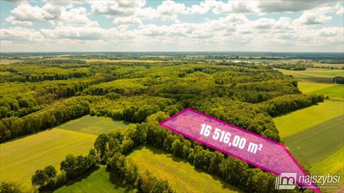 Na sprzedaż działka inwestycyjna 16 516 m² w Nowogardzie działka Nowogard, Olchowo