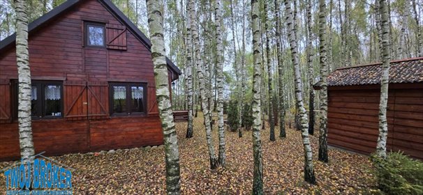 Urokliwy drewniany domek letniskowy z garażem (blisko jezior) dom Tągowie