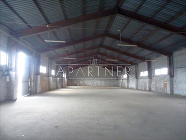 Lokal użytkowy na wynajem Piątek 1 000m2 Foto 1