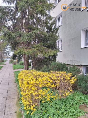 mieszkanie na sprzedaż 64m2 mieszkanie Gdańsk, Chełm, Henryka Hubertusa Jabłońskiego