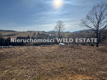działka na sprzedaż 1805m2 działka Baligród, Zahoczewie