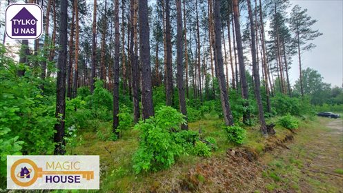 działka na sprzedaż 18900m2 działka Gołubie