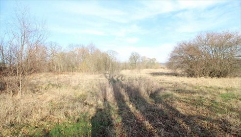 Działka inwestycyjna na sprzedaż Czymanowo 31 887m2 Foto 5