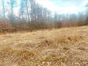Działka budowlana na sprzedaż Milanówek 9 150m2 Foto 2