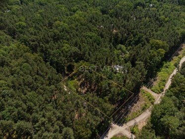 działka na sprzedaż 1800m2 działka Sękocin-Las, Księżnej Zofii Czetwertyńskiej