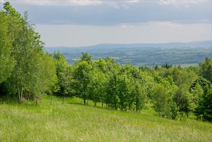 działka na sprzedaż 3200m2 działka Jodłówka Tuchowska