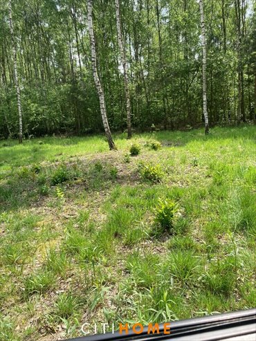 działka na sprzedaż 1010m2 działka Sobienie-Jeziory