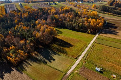 Atrakcyjne działki budowlane w Lipnicy Dolnej, las, asfalt działka Lipnica Dolna, Atrakcyjne działki budowlane w otoczeniu natury – dojazd drogą asfaltową