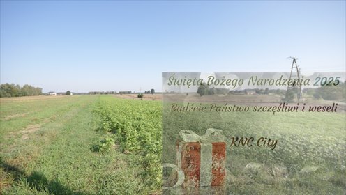 działka na sprzedaż 9800m2 działka Rudka Gołębska