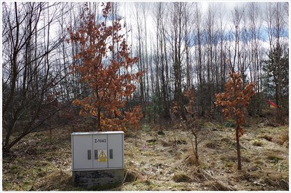 działka na sprzedaż 2393m2 działka Perlino, Spokojna