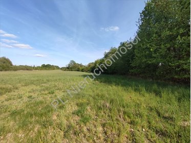 Sprzedam działkę 30 152 m² z możliwością zabudowy w Żabiej Woli działka Żabia Wola