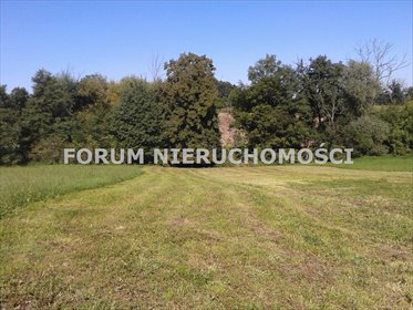 działka na sprzedaż 5185m2 działka Dębowiec, Łączka