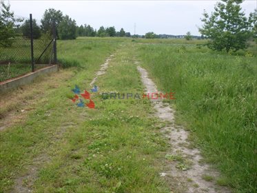 działka na sprzedaż 15150m2 działka Szczaki