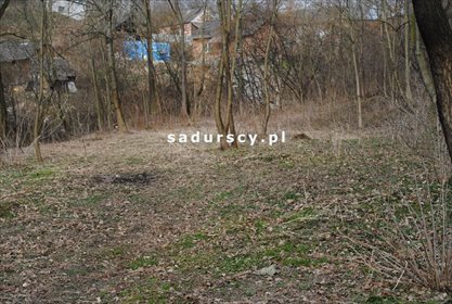 Działka leśna na sprzedaż Malkowice 4 800m2 Foto 1