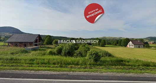 Działka 65a pod zabudowę w Ptaszkowej (przy drodze krajowej) działka Ptaszkowa
