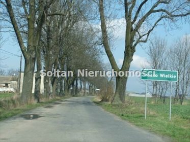 Lokal użytkowy na sprzedaż Srocko Wielkie 450m2 Foto 2