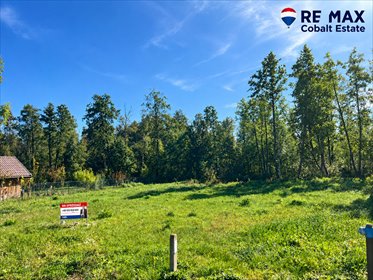 Sprzedam działkę 3002 m² w Grabniaku z WZ, mediami i stawem działka Grabniak