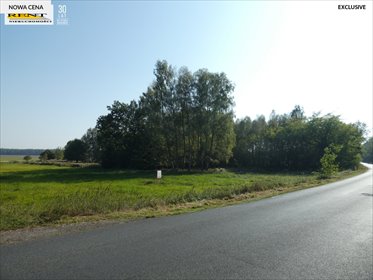 działka na sprzedaż 9597m2 działka Tarnówko