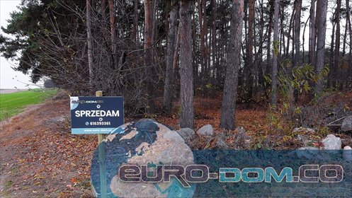 Działka z lasem 29 400 m² w Jerce - polecam! działka Krzywin, Krzywin